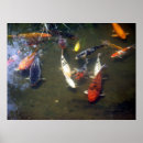 Suche nach fisch schwanz poster Natur