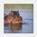 Suche nach sorglos magnete Wild lebende tiere