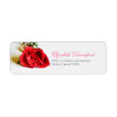 Suche nach single rose Minimal