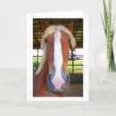 Suche nach belgier postkarten Pferd