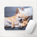 Suche nach chihuahua hund mousepads Welpe