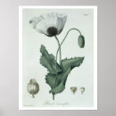 Suche nach 1821 poster Frucht