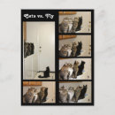 Suche nach unglaublich witzig katze postkarten Katzen