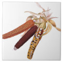 Suche nach getrocknet fliesen Vintag