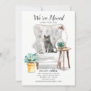 Suche nach graue katze einladungen Für alle