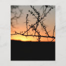 Suche nach sonnenuntergänge flyer Fotografie
