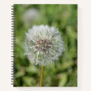 Suche nach löwenzahn kleine notizbücher Weiß