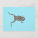 Suche nach amphibisch postkarten Frosch