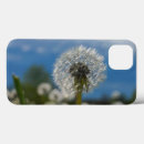 Suche nach schönheit hüllen Blumen