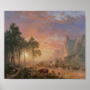 Suche nach rinder poster Alt