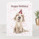 Suche nach labradoodle karten Labradoodkarte