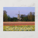 Suche nach bulb postkarten Tulpen