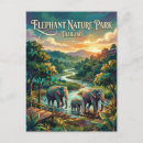 Suche nach elephante postkarten Elefant