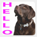Suche nach schwarzes labrador aufkleber Welpe