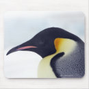 Suche nach kaiser pinguine mousepads Natur