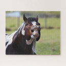 Suche nach paint horse puzzle Kopfschuss
