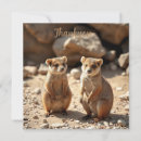 Suche nach quokka karten Känguru