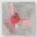 Suche nach flug untersetzer Rot