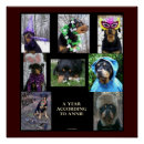 Suche nach rottweiler kunst Hund