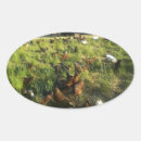 Suche nach reichweite aufkleber Bauernhof