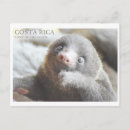 Suche nach costa rica postkarten Andenken
