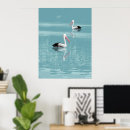 Suche nach pelican poster Vogelvogel
