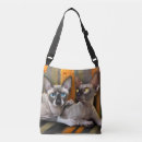 Suche nach orange auge taschen Blume