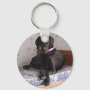 Suche nach dogge schlüsselanhänger Däne