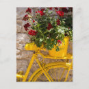 Suche nach geranien postkarten Fahrrad