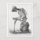 Suche nach vintage anatomie postkarten Knochen