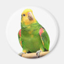 Suche nach amazonas magnete Vogel