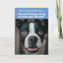 Suche nach boston terrier geburtstag karten Lustig