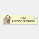 Suche nach labrador retriever autoaufkleber Stoßdämpfer