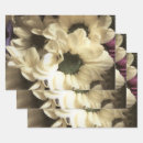 Suche nach chrysanthemen geschenkpapier Für alle