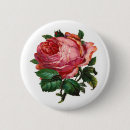 Suche nach vintage rosa rosen buttons Blume