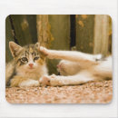 Suche nach zwei tiere mousepads Sonnenlicht