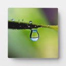 Suche nach der spritz fotoplatten Spritzen