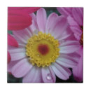 Suche nach rosa blumen fliesen Jede person