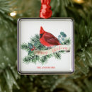 Suche nach roter kardinal ornamente Niedlich