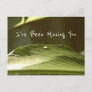 Suche nach wassertropfen postkarten Für alle