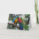 Suche nach macaw karten Vielen dank