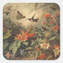 Suche nach kolibris aufkleber Für alle