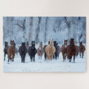 Suche nach laufendes pferd puzzle Schnee