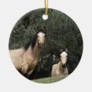 Suche nach mein mustang ornamente Reiter