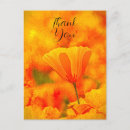 Suche nach mohn postkarten Jede person