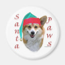 Suche nach pembroke welsh corgi magnete Tiere