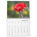 Suche nach kaktus kalender Blume