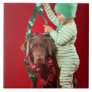 Suche nach kleiner hund fliesen Tier