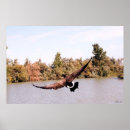 Suche nach fliegende poster Fotografie
