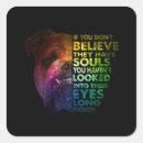 Suche nach pitbull aufkleber Grubenbulle